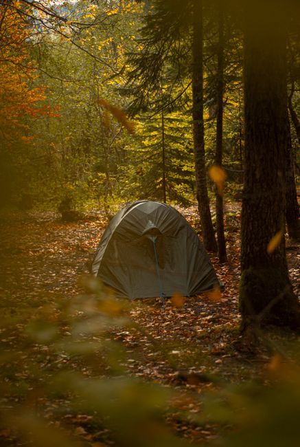 Top 2 campings à Urrugne : avis et classement