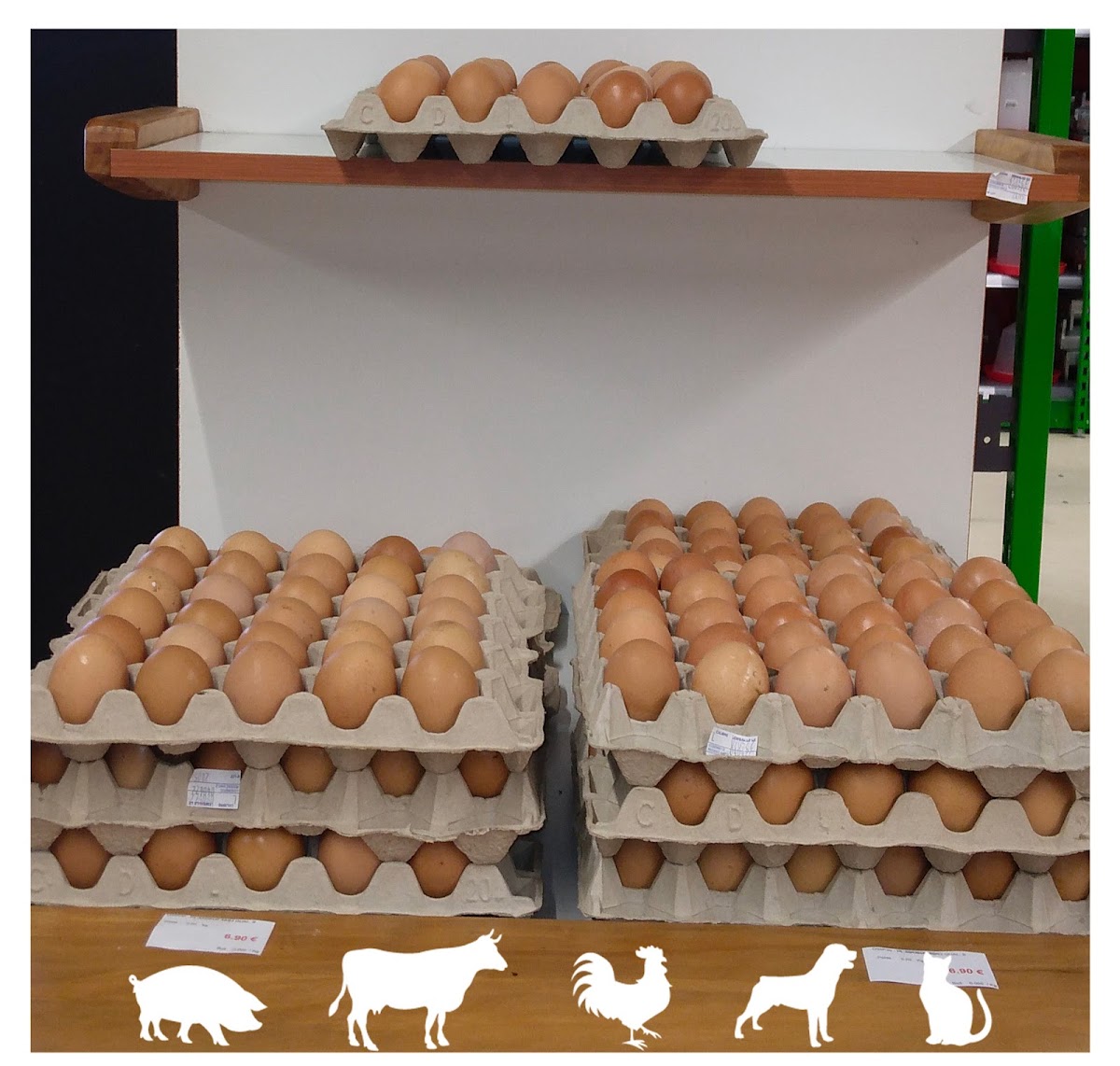 Caraibe Nutrition Animale - photo