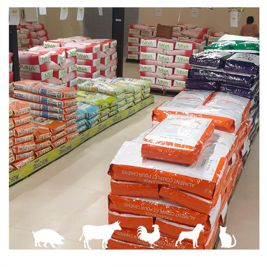 Caraibe Nutrition Animale - photo