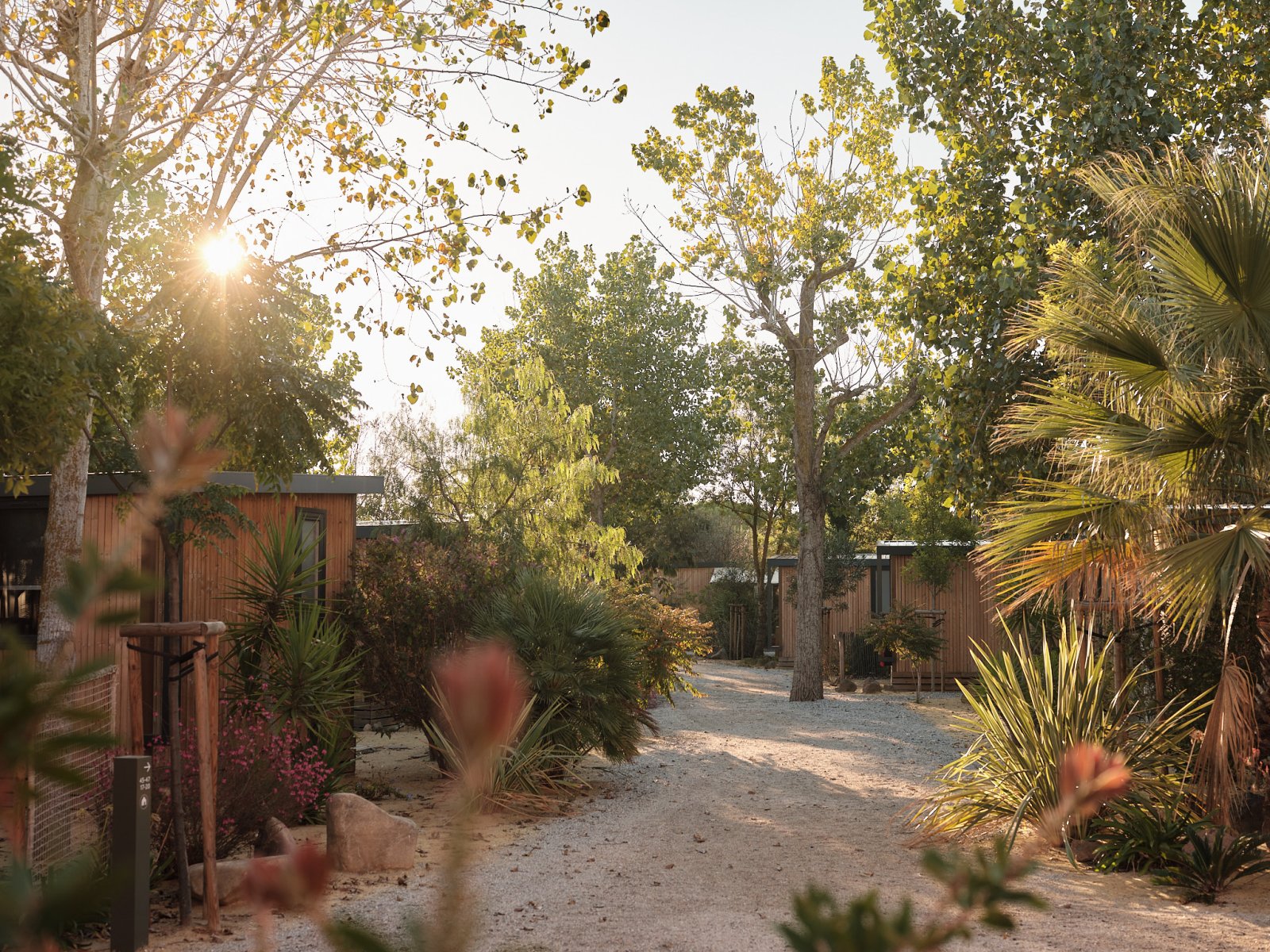 Blendin Retreat Agde