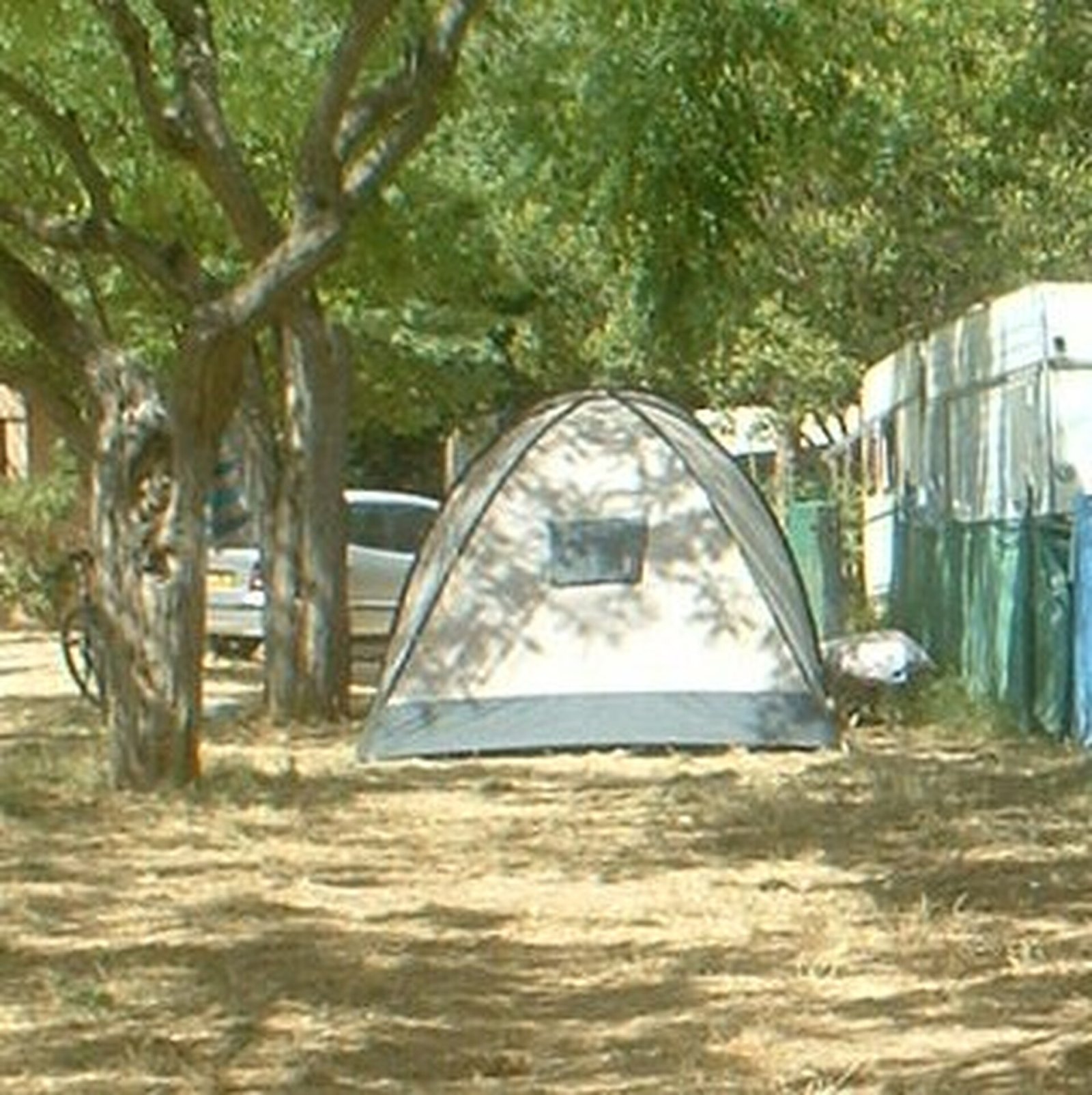Photo Camping du Port d'Alon