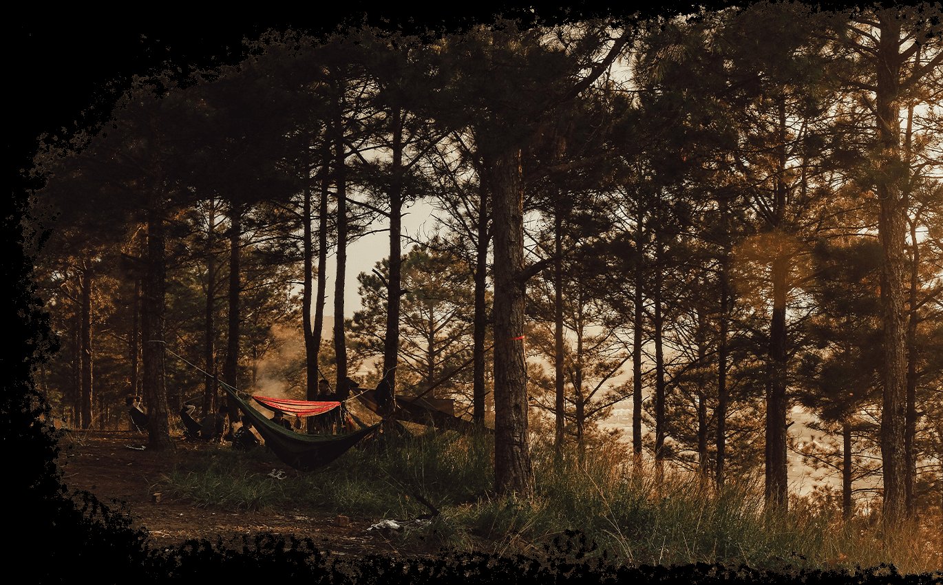 Photo Camping L'Oliveraie