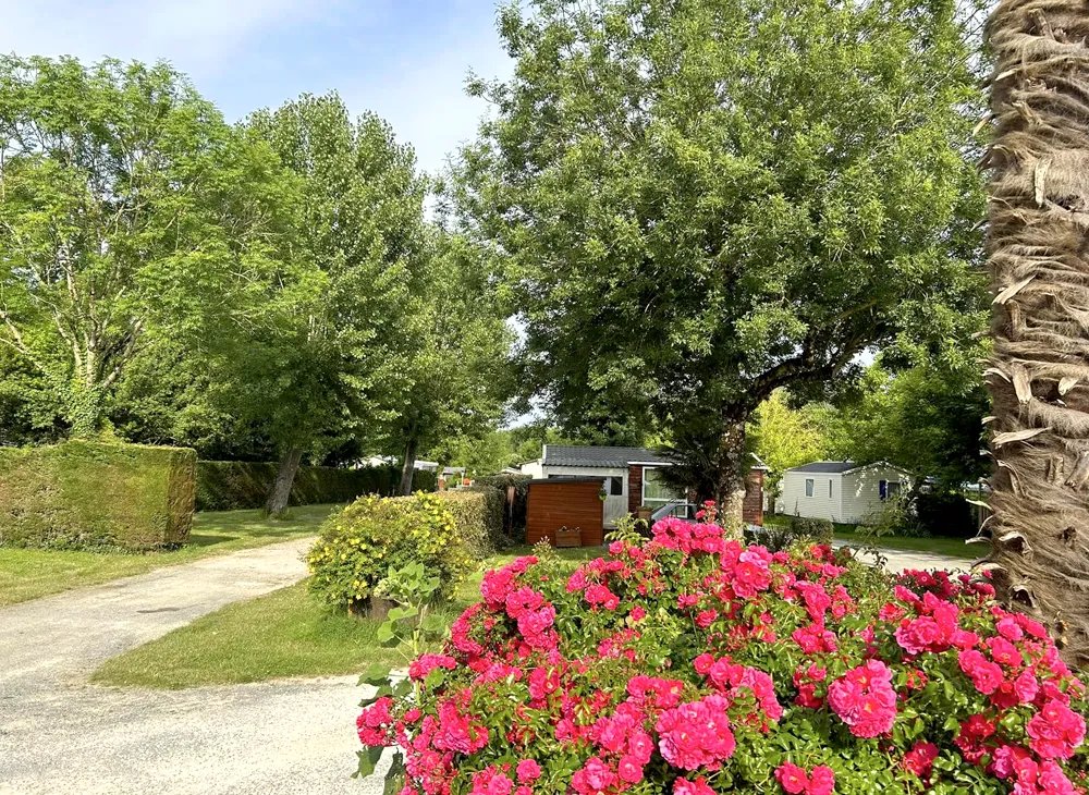 Camping L'Orée des Bois