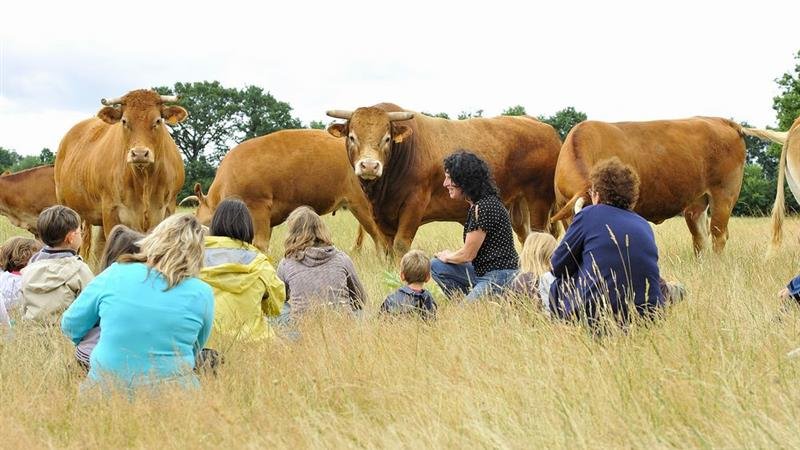 Photo Camping La Ferme de la Maison Neuve