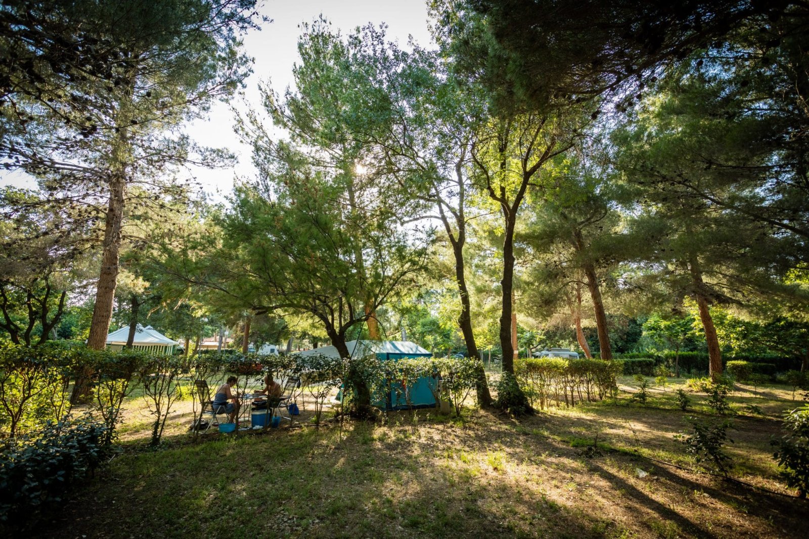Camping La Tour de France / Pays Cathare