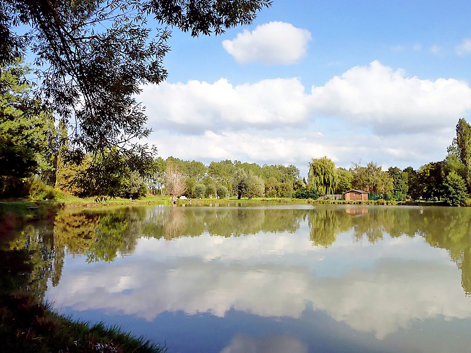 Camping Le Camp des Roses