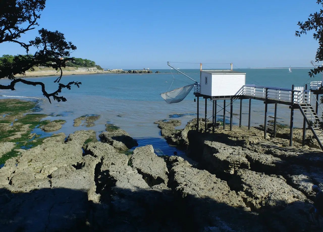 Photo Camping Le Repos