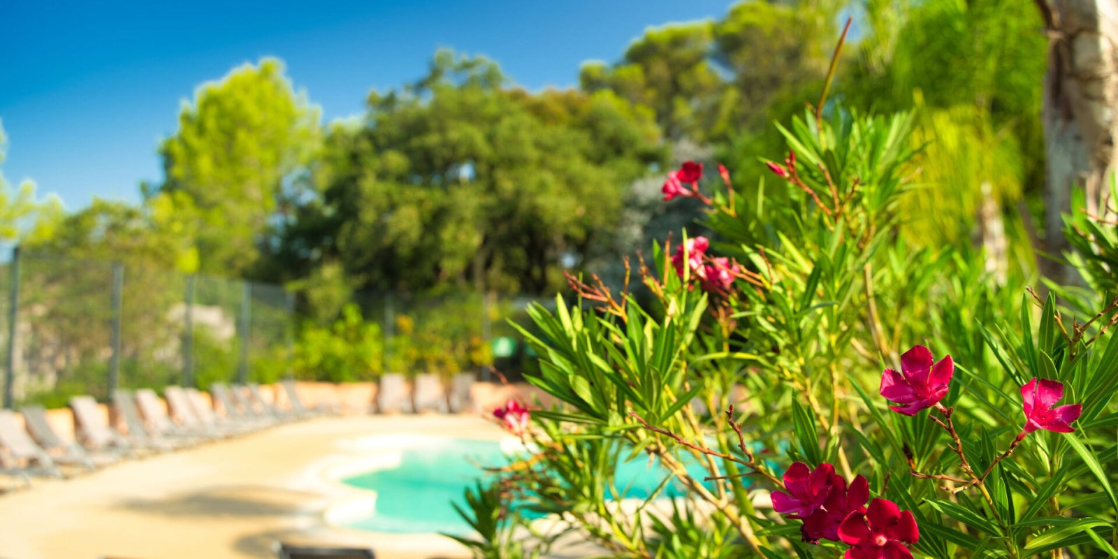 Photo Camping Les Jardins de La Pascalinette®️