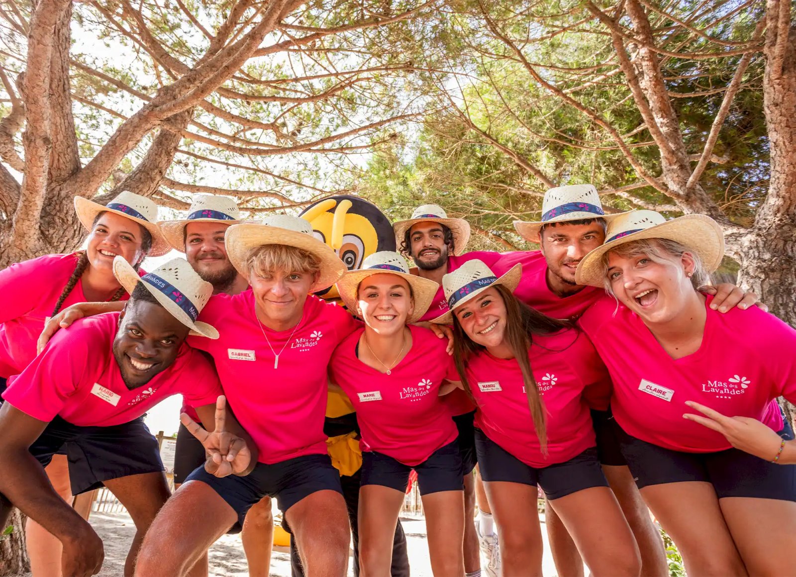 Camping Mas Des Lavandes