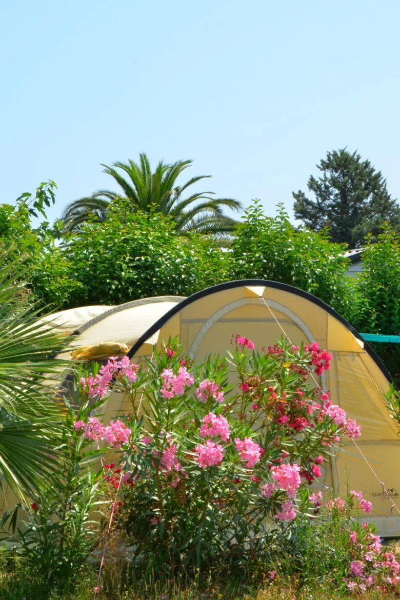 Photo Camping Paradis Le Pearl