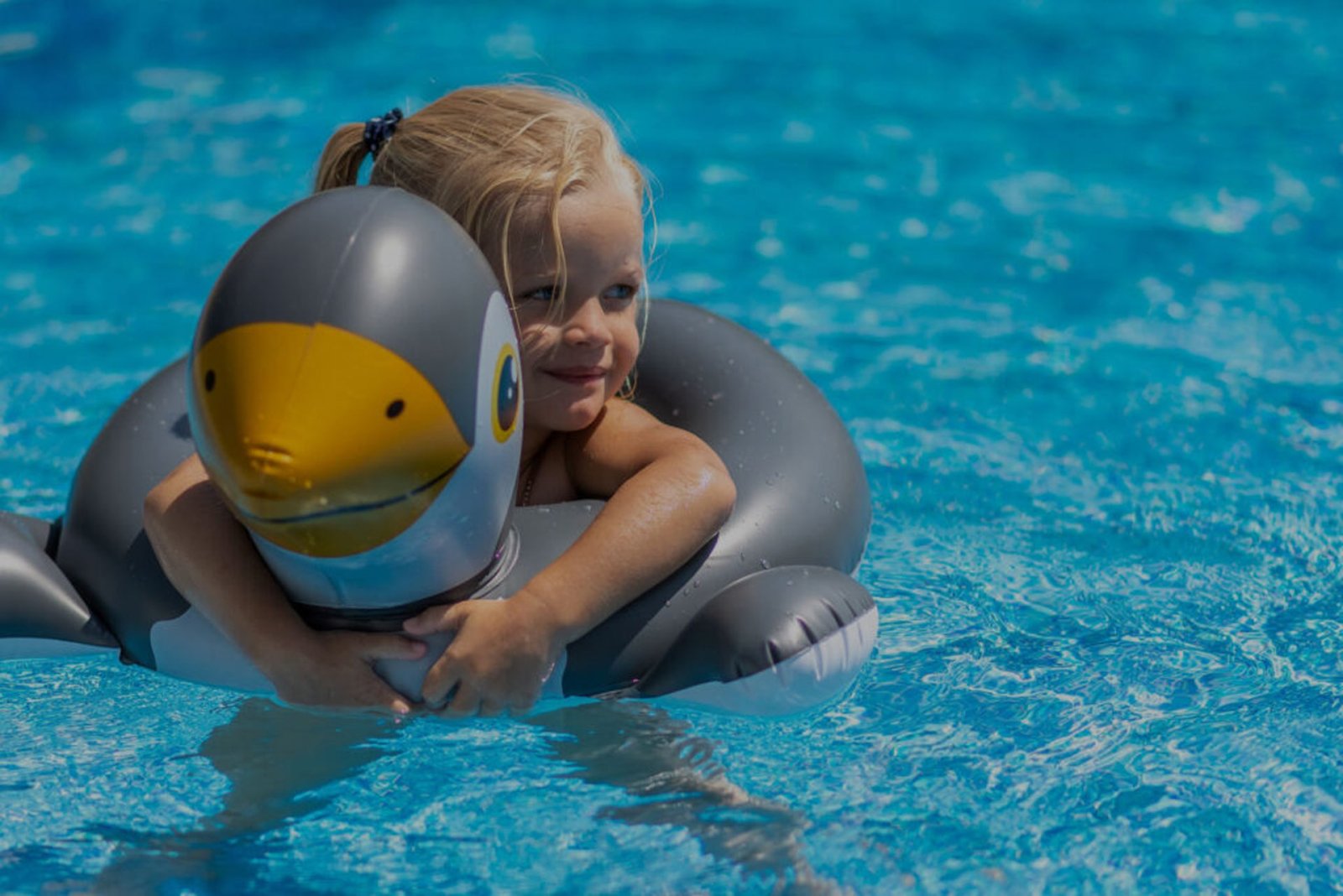 Photo Camping Suhiberry | Urrugne, Pays Basque | FERMÉ - CLOSED (30/04 - 30/09)