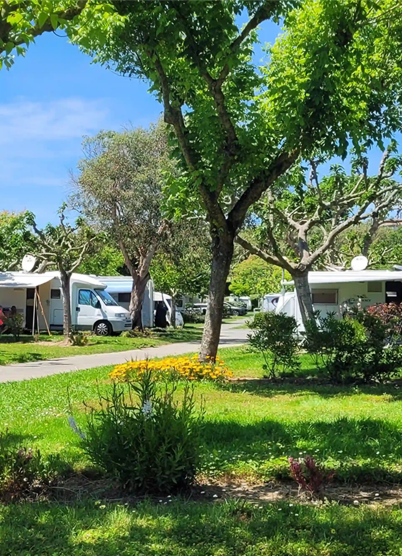 Camping UR-ONEA - Ouvert pour les locations dès le 7 Avril et pour les emplacements dès le 27 Avril 2026