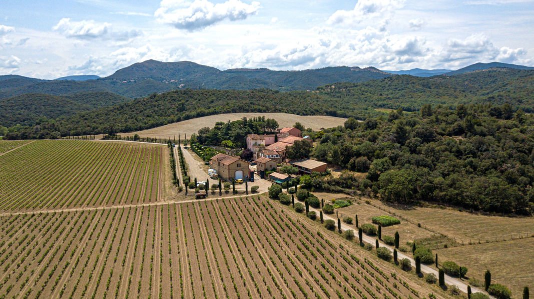Domaine Bellavista