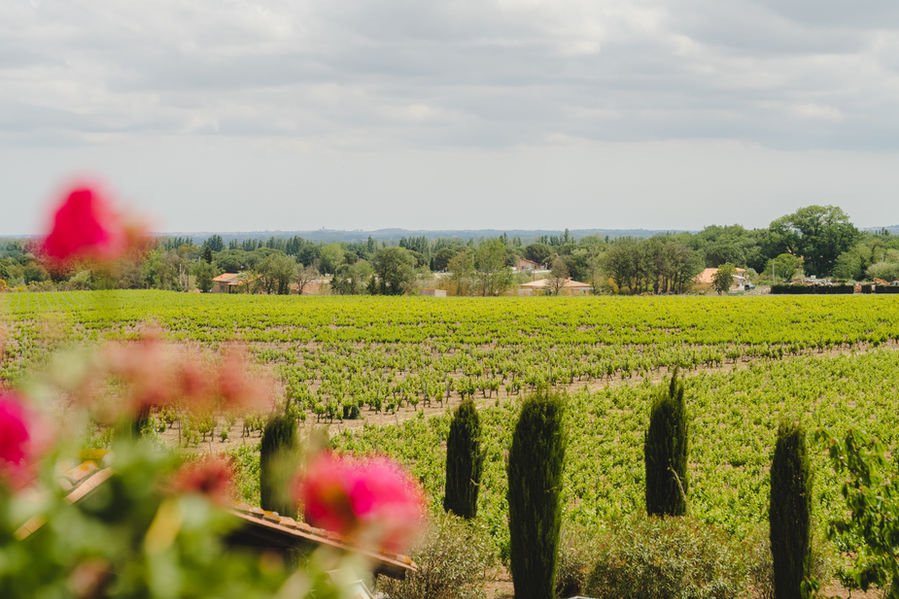 Photo Domaine Bellavista