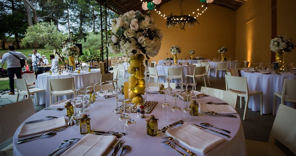 Photo Domaine Bellavista