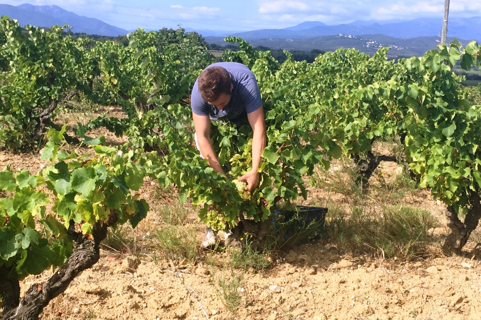 Photo Domaine des Demoiselles