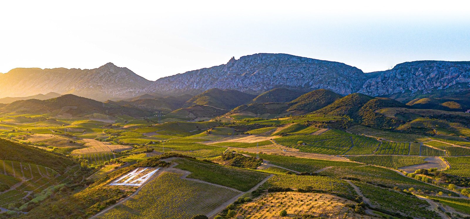 Photo Domaine du Mas Amiel