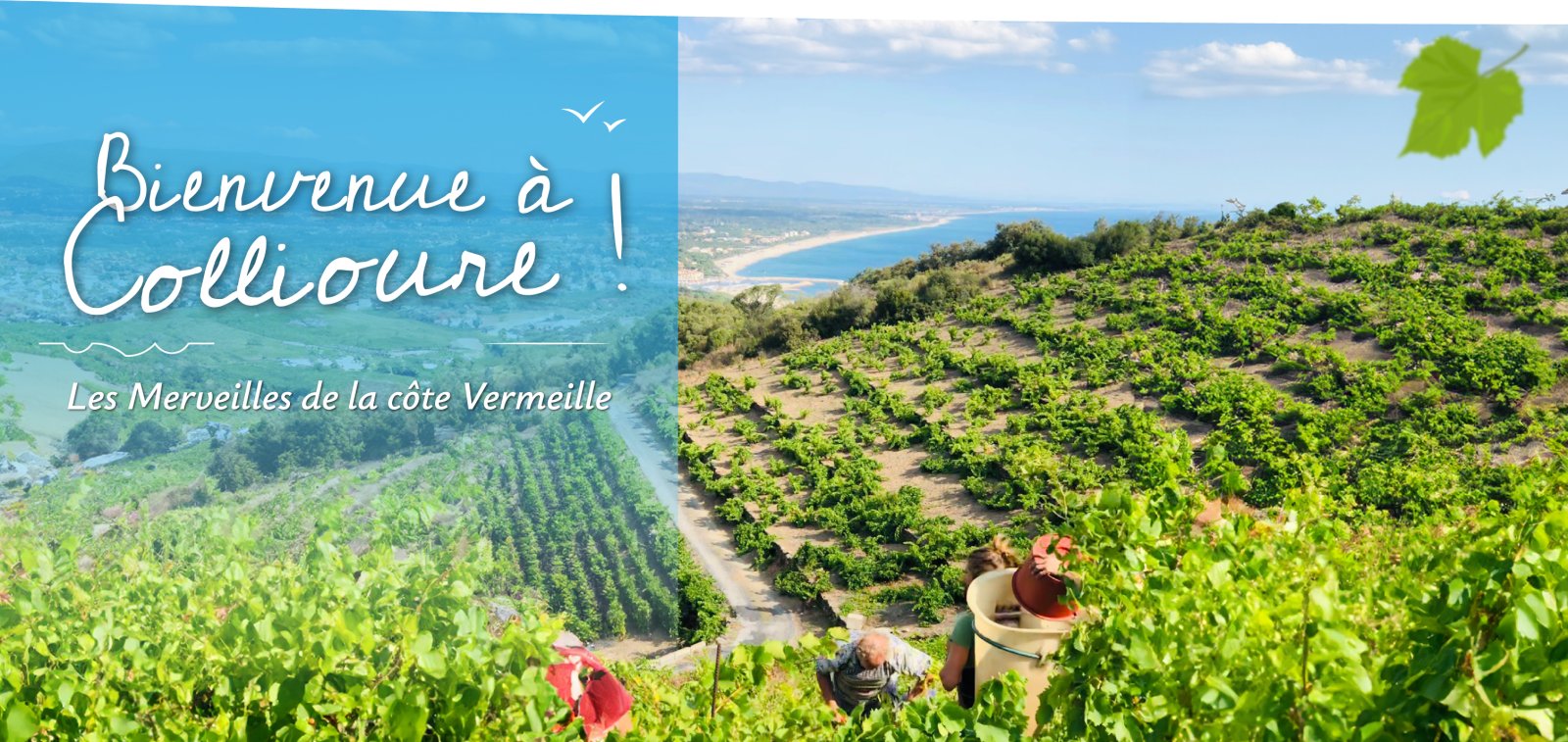 Photo Domaine Manya Puig Valentin