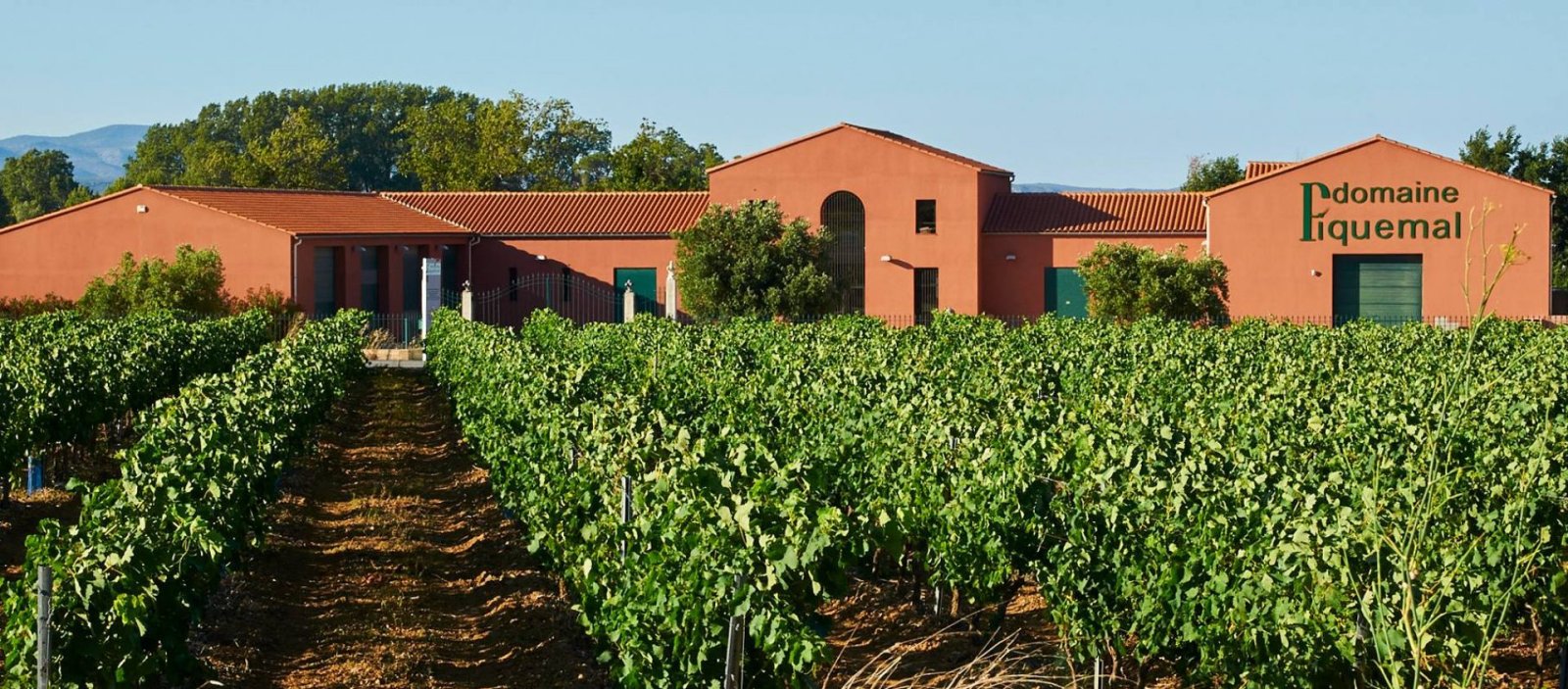 Photo Domaine Piquemal