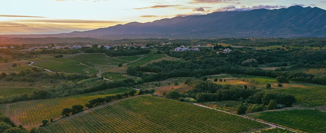 Domaine Trilles