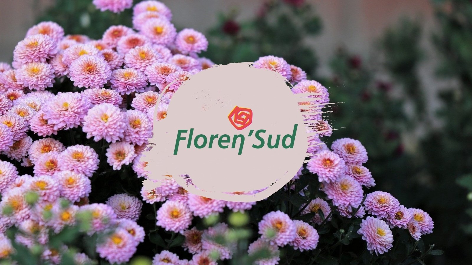 Photo Floren Sud SAS