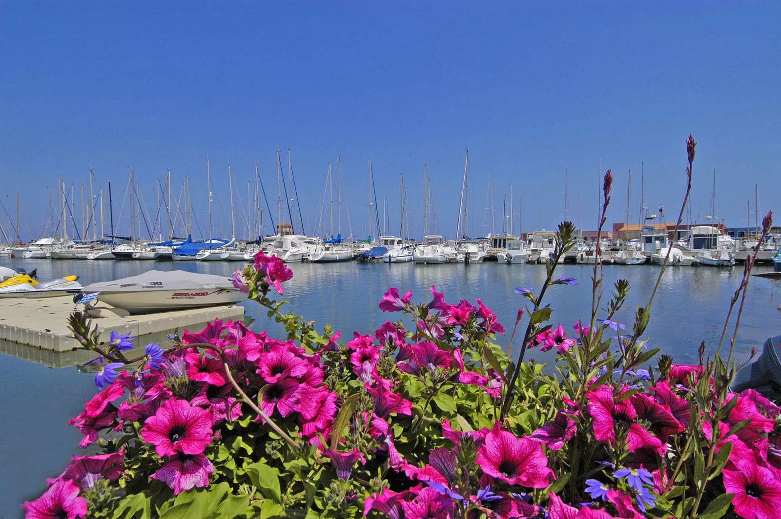 Hôtel de la Mer- Le Barcarès