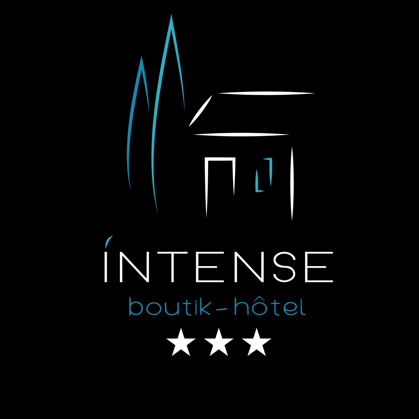 Photo Intense Boutik-Hôtel