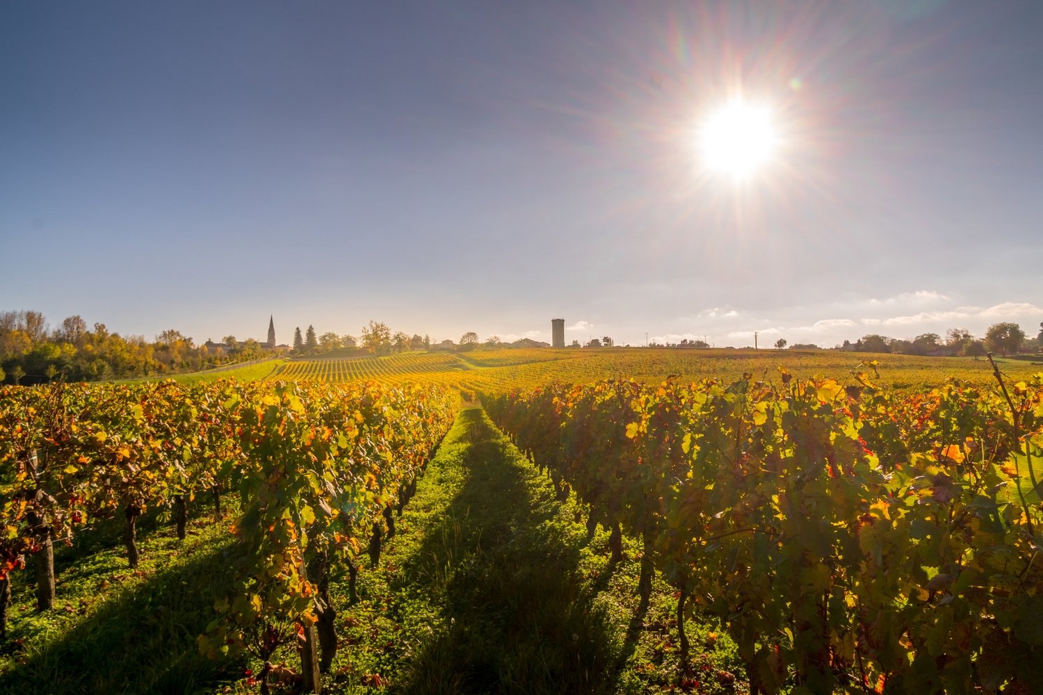 Photo Le Comptoir de Sèze