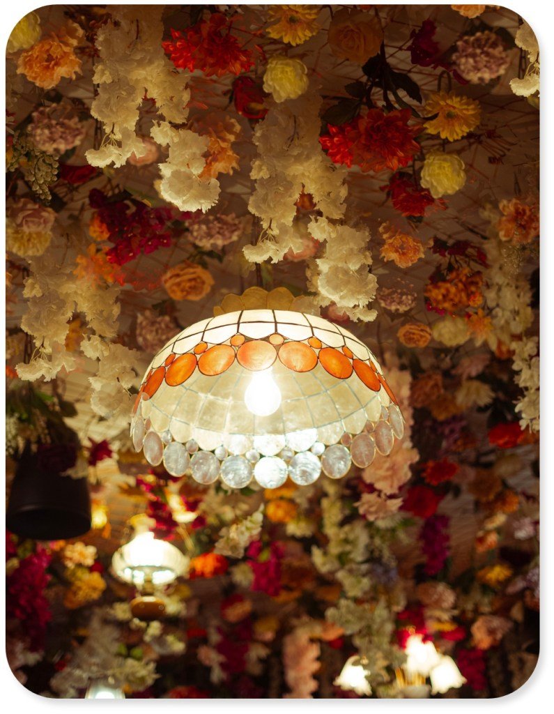 Photo Maison Dahlia