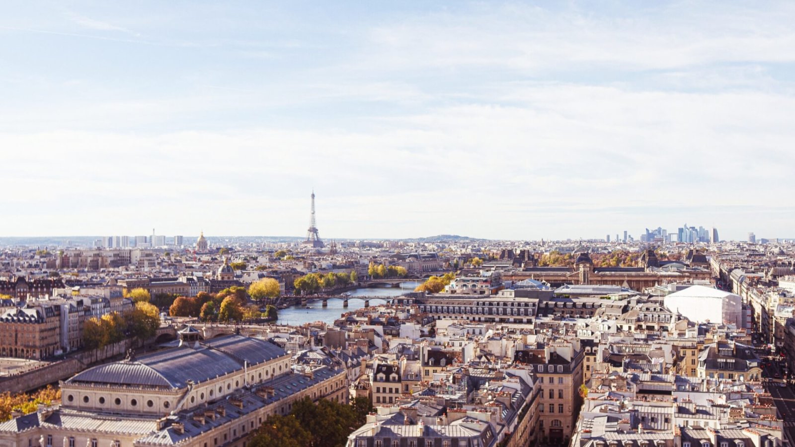 Marney Property - Agence Immobilière Paris 9