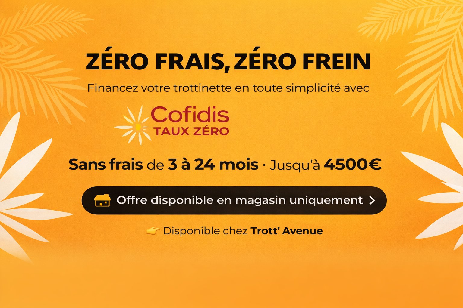 Photo Trott' Avenue - ZE Trott'